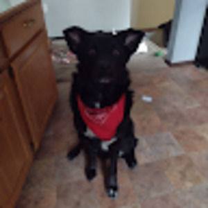 Meet your Posher, Kaelyn